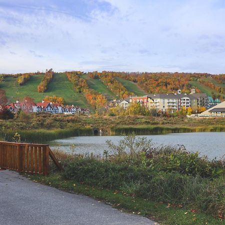 Wintergreen 126 Blue Mountains Bagian luar foto
